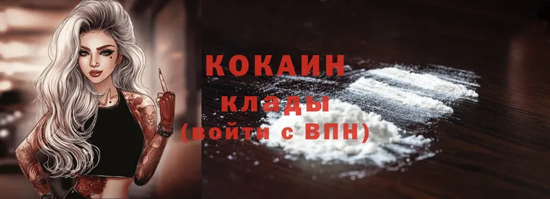 купить наркоту  shop официальный сайт  Кокаин Fish Scale  Бикин 