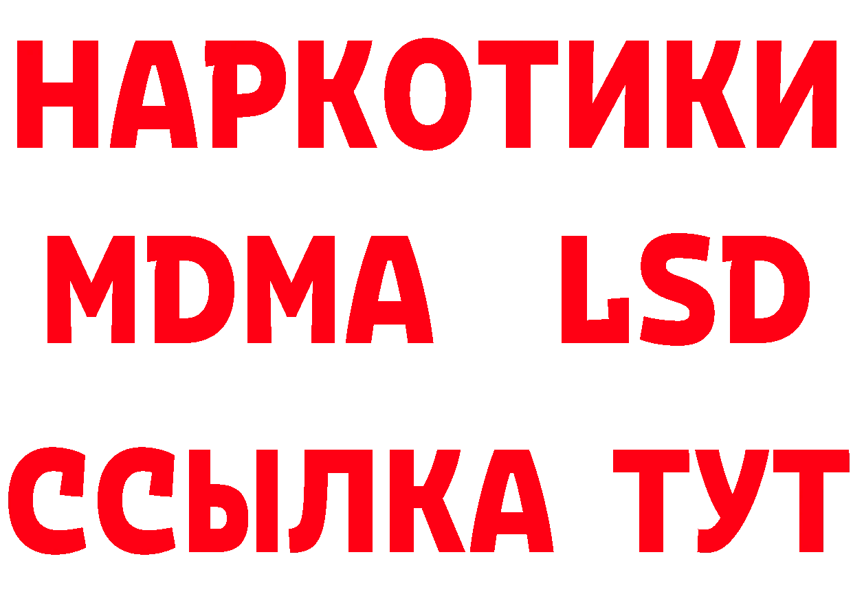 Как найти закладки? дарк нет какой сайт Бикин